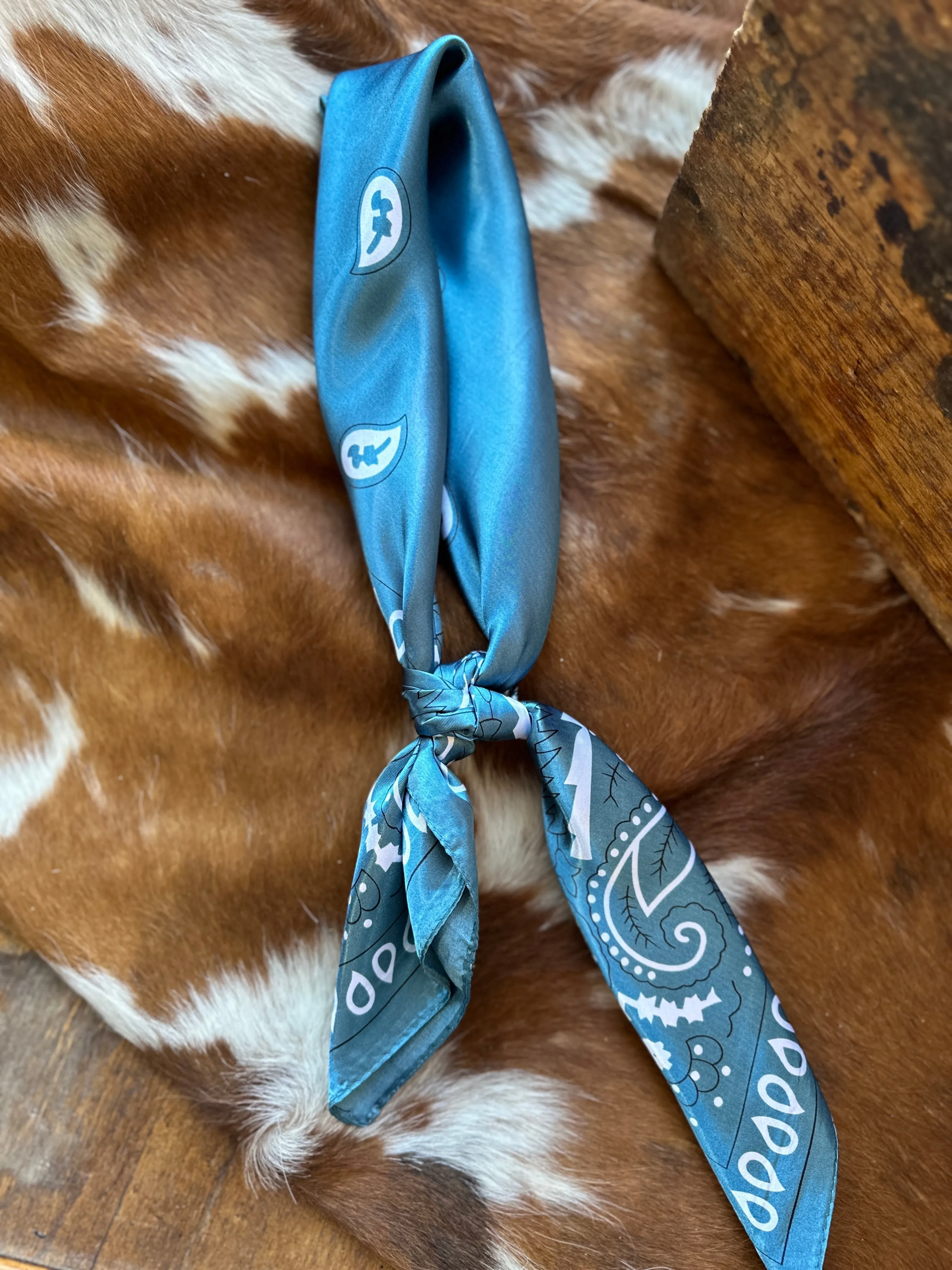 Turquoise Paisley Wild Rag